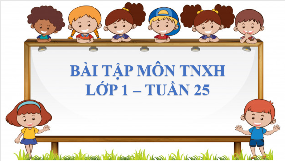 Bài tập môn TNXH lớp 1 Tuần 25