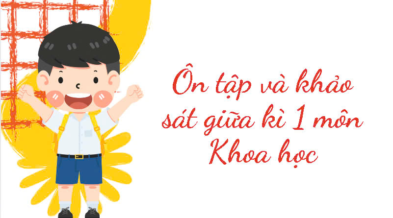 Bài khảo sát giữa kì 1 môn Khoa học lớp 5