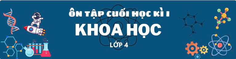 Ôn tập cuối học kì I lớp 4 - Môn Khoa học