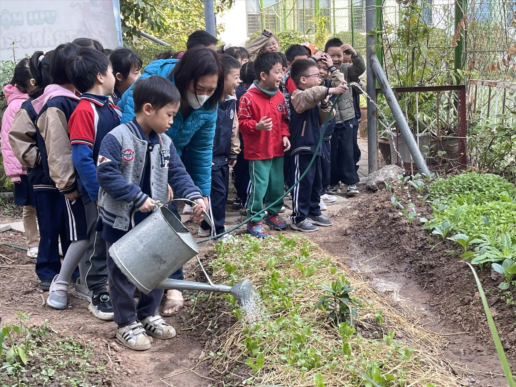 Tiết học Trải Nghiệm Lý Thú Và Bổ ích Tại khu Vườn em chăm của các bạn học sinh lớp 1A7 Trường Tiểu Học Hoàng Diệu