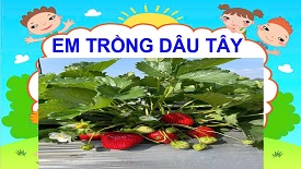 Học sinh lớp 3A3 tham gia hoạt động trải nghiệm Tết trồng cây