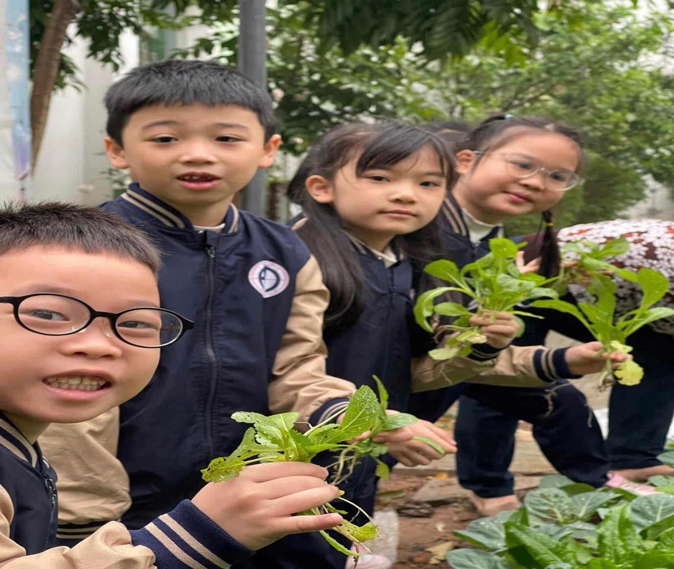 Tổ chức hoạt động trải nghiệm Thực hành quan sát cây xanh vườn trường trong môn tự nhiên và xã hội lớp 1 - Chủ đề về thực vật