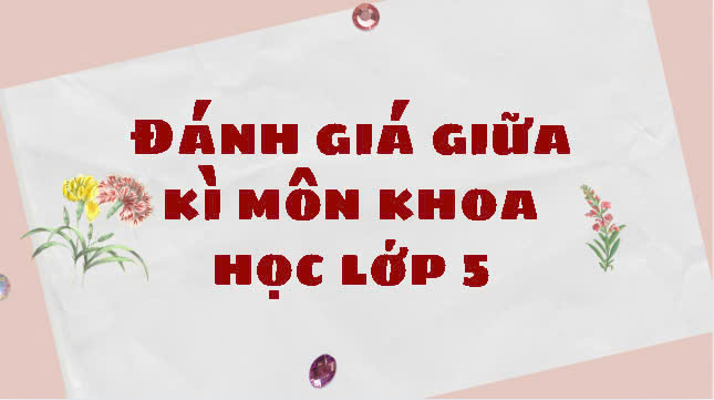Bài kiểm tra giữa kì 2 môn Khoa học lớp 5