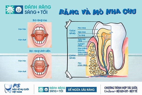 https://quantri.longbien.edu.vn/UploadFolderNew/SGDLongBien/Image/thaimob/2021_5_image/dr1_1510201721_18052021.jpg?w=1130?w=1130
