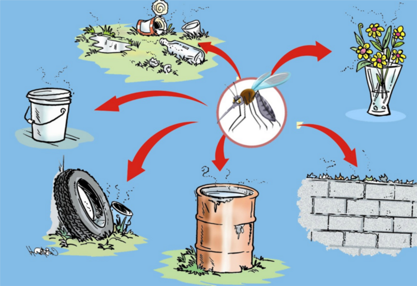 hỏi đáp phòng chống sốt xuất huyết