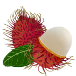 A close up of a fruit

Description automatically generated