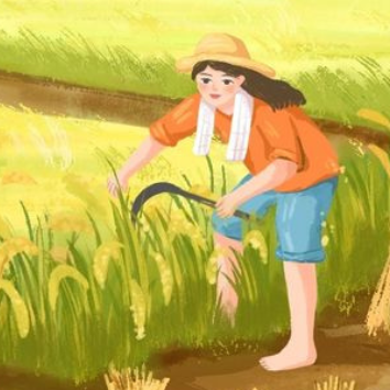 A child working in a field

Description automatically generated