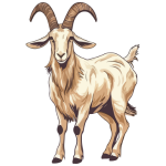 A goat with horns standing

Description automatically generated